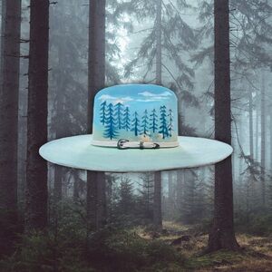 Cowgirl 3x Felt Western Ranch Hat